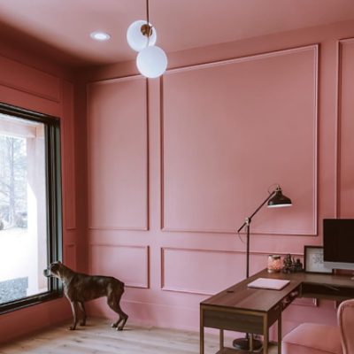 A light red home office with a dog looking out a large window @maelutzz.