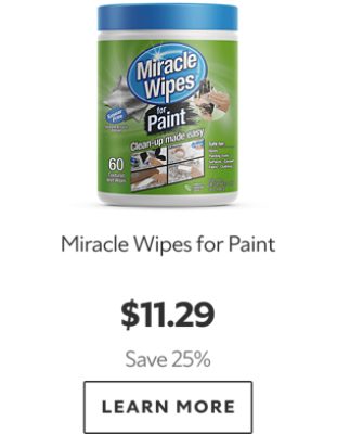 Miracle Wipes for Paint. $11.29. Save 25%. Learn more.
